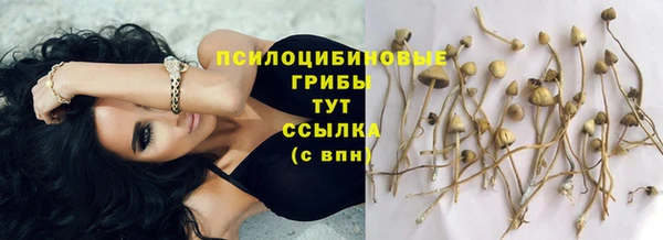 ГАЛЛЮЦИНОГЕННЫЕ ГРИБЫ Арсеньев