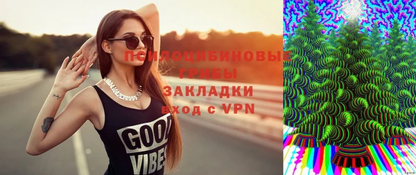 ГАЛЛЮЦИНОГЕННЫЕ ГРИБЫ Арсеньев