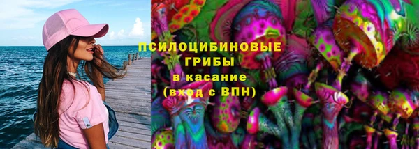 МДПВ Армянск