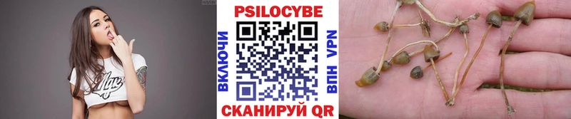 Псилоцибиновые грибы Cubensis  где найти наркотики  Спасск-Рязанский 